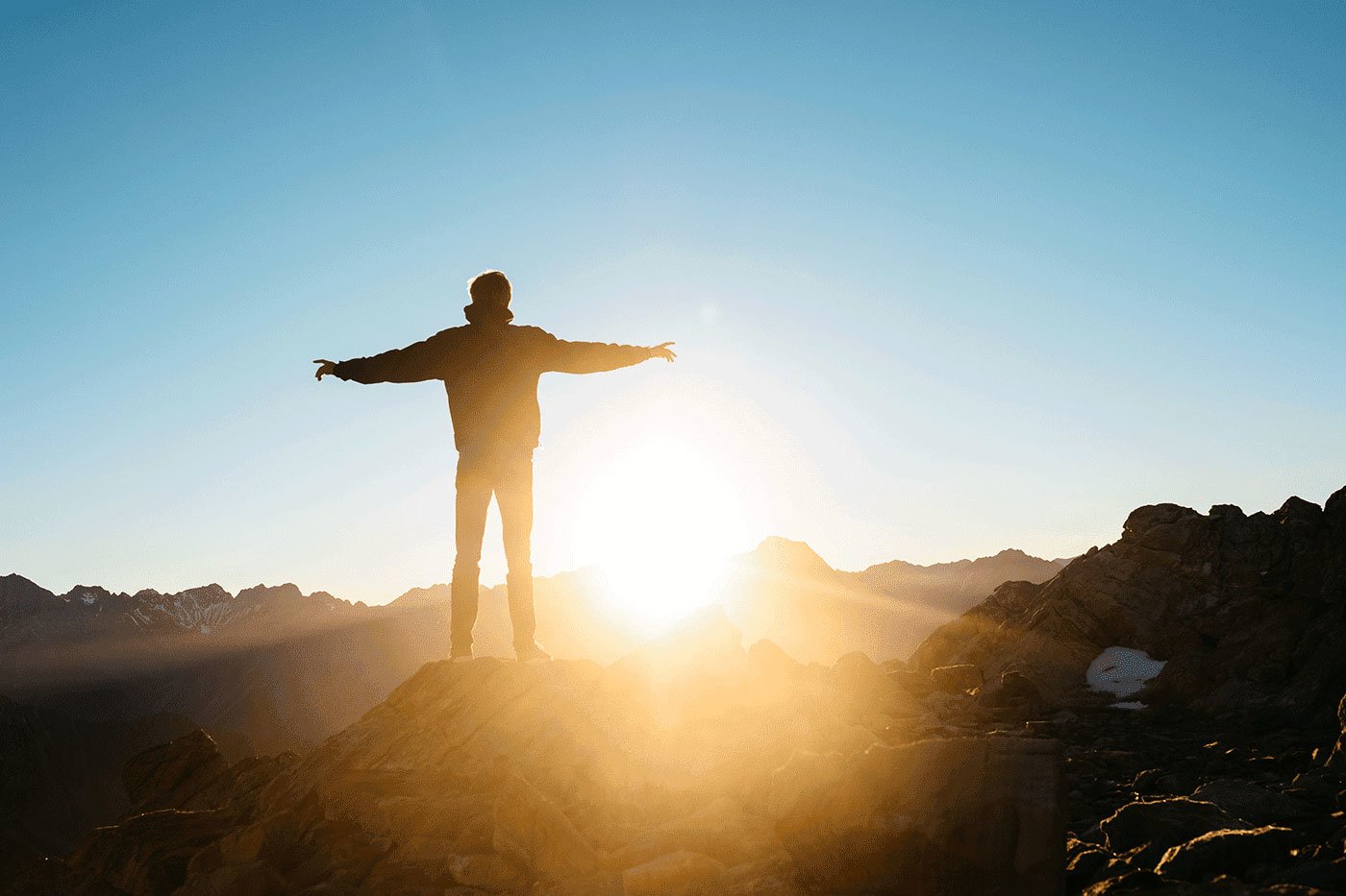 Life: The Only Guide You Need